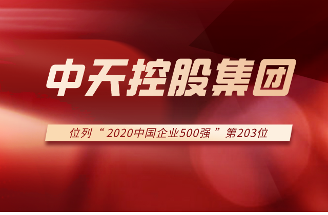金世豪集團列2020中國企業500強第203位！