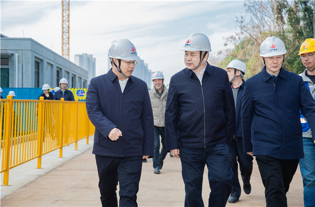 湖北省副省長張文彤到金世豪建設集團桂園賦項目考察指導工作